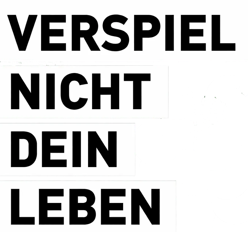 verspiel nicht dein leben logo